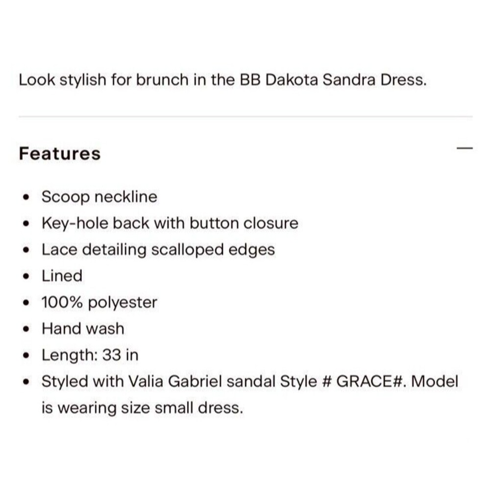 BB Dakota Sandra Dress White Lace Embroidery Mini Crochet Sz S - Picture 14 of 14